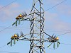 МЭС Юга установят 1700 птицезащитных устройств на высоковольтных ЛЭП Кубани