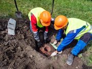 Проспект Юрия Гагарина в Санкт-Петербурге станет светлее и безопаснее