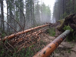 «Пермэнерго» восстановило 10,5 км воздушных ЛЭП после удара стихии в Прикамье