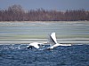 Павлодарский НХЗ обеспечивает экологическую безопасность водного бассейна накопителя Сарымсак