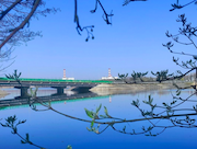 Смоленская АЭС подтвердила соответствие системы экологического менеджмента требованиям международного и национального стандартов