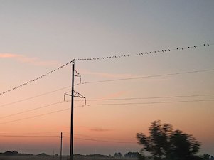 «Россети Сибирь» построили ЛЭП и поставили под напряжение новую подстанцию в Кузбассе