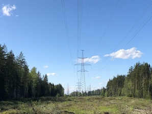 МЭС Северо-Запада расчистят порядка 2000 гектаров трасс магистральных ЛЭП в Псковской и Новгородской областях