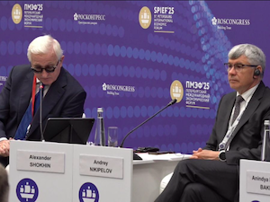 Индонезия поставила цель достичь углеродной нейтральности к 2060 году