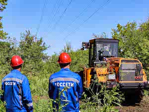 «Россети Новосибирск» расчистили свыше 220 гектаров трасс ЛЭП