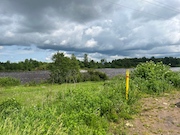 В Ленинградской области построен межпоселковый газопровод для газификации деревни Ускуля