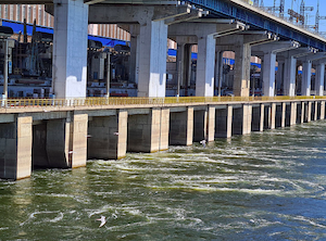 Волжская ГЭС наполнила водой Волго-Ахтубинскую пойму