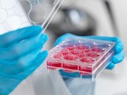 Доказаны преимущества трехмерных клеточных структур для исследований радиационного воздействия