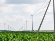 Действия сторонних лиц стали причиной нарушений электроснабжения в 13 населенных пунктах Тюменской области