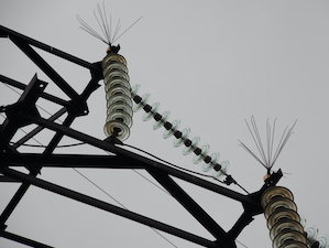 «Чувашэнерго» оснащает воздушные ЛЭП птицезащитными устройствами