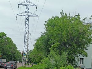 «Амурские электрические сети» озеленили охранную зону ЛЭП в центре Благовещенска
