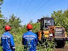 «Россети Новосибирск» расчистили свыше 220 гектаров трасс ЛЭП