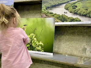Нововоронежская АЭС представила на выставке в Воронеже лучшие фотокадры с экотура по донским берегам