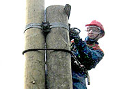 «Колэнерго» сокращает издержки производства