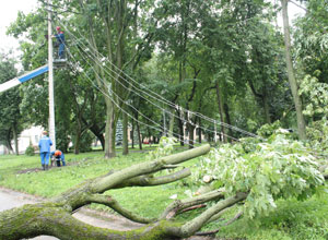 Ремонтные бригады «Псковэнерго» ликвидировали последствия грозового фронта