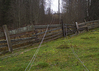 Коряжемский суд приговорил местную жительницу к колонии общего режима