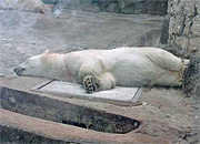 Работа энергообъектов в жару – под особым контролем Минэнерго РФ