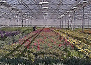 «Вологдаэнерго» начал строить воздушно-кабельную линию