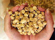 В Коми разработают целевую программу по использованию древесных отходов