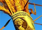 Правительство Хакасии компенсирует затраты на электроэнергию сельхозпроизводителям