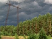 «МОЭСК» меняет старые провода на СИП в лесных массивах на западе Подмосковья