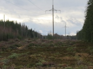 «Нижновэнерго» расчистит более 5 тысяч га просек ЛЭП в 2014 году