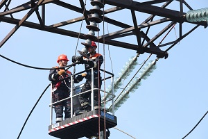 ФСК ЕЭС установила 3,3 тыс. современных изоляторов на ЛЭП 500 кВ «Михайловская – Чагино» и 220 кВ «Парская – Сасово»