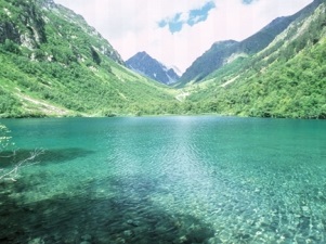 Гинпис: из-за планов «Газпрома» Россия может нарушить свои международные обязательства