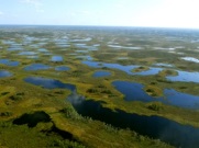 Уватский проект пополнился новыми лицензионными участками