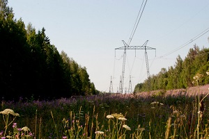 ФСК ЕЭС установила на ЛЭП 13 тысяч птицезащитных устройств