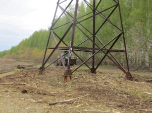 «Оренбургэнерго» расчистило охранные зоны ЛЭП общей площадью 100 га