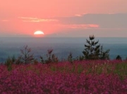 «Пермнефтегеофизика» изучит западную часть Батырбайского углеводородного месторождения в Прикамье