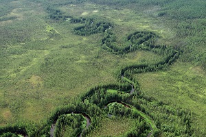 «Газпромнефть-Ангара» получила стабильный приток нефти в Иркутской области