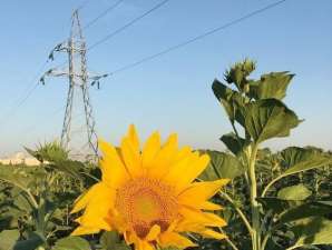 «Славянские электрические сети» отремонтировали 57 подстанций 0,4/10 кВ за I полугодие