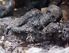 Обгоревшим трупом закончилось незаконное проникновение в здание подстанции на Сахалине