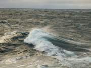 Географы МГУ опубликовали первую версию веб-атласа доступной волновой энергии морей России