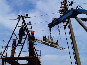 Компания «Россети Янтарь» установит реклоузеры на ЛЭП в заказнике «Майское»