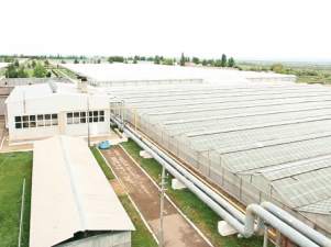 «ФСК ЕЭС» расширила на две линейные ячейки подстанцию 220 кВ «Саратовская»