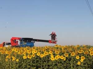 «Краснодарские электросети» отремонтировали 520 км ЛЭП