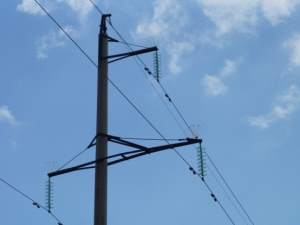 «Россети Кубань» установят 1600 птицезащитных устройств в зоологическом заказнике «Тихорецкий»