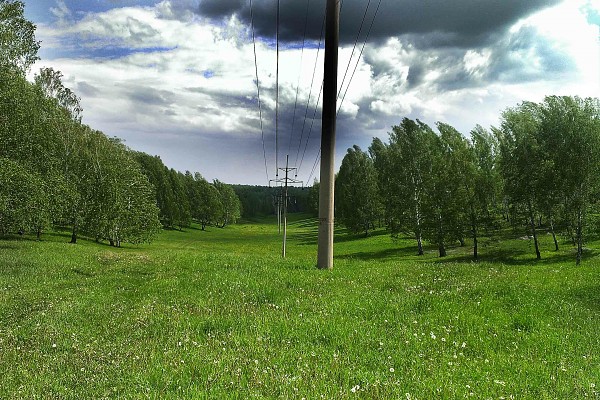 Из-за падения дерева дальневосточная Ромашка осталась без света