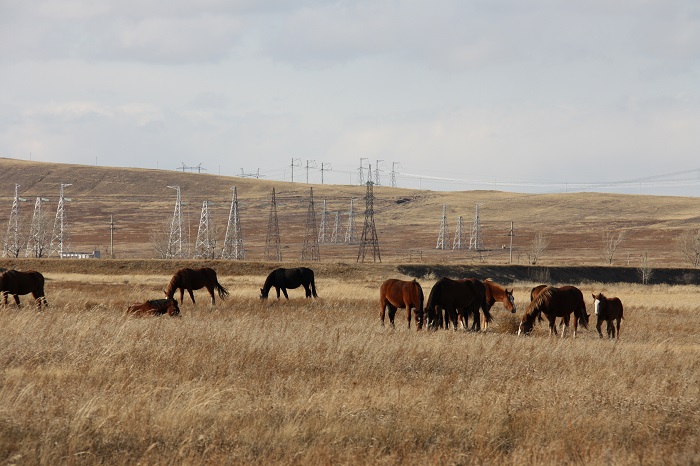 «Россети ФСК ЕЭС» начала строительство новой подстанции «Степная» и ЛЭП 220 кВ в Хакасии