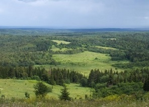 «Пермнефтегеофизика» выполнила для «ЛУКОЙЛ-Пермь» сейсморазведку МОГТ-3D на Восточно-Вишерской площади по технологии «зеленой сейсмики»