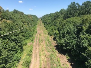 «Адыгейские электрические сети» отремонтировали 850 км воздушных ЛЭП