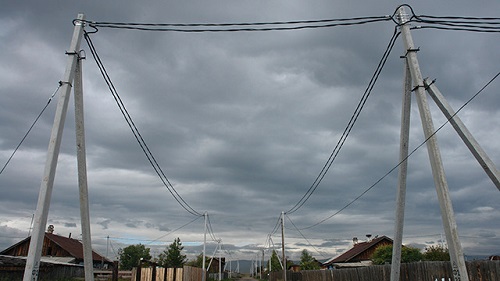 Энергетики Кузбасса заставляют «Сибирских медведей» слезть с ЛЭП