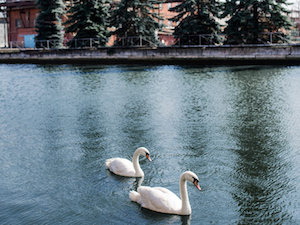 Система экологического менеджмента «ЗиО-Подольск» признана результативной