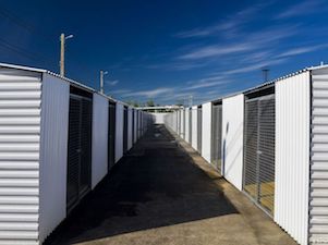 «Пермэнерго» подключило к электросетям новый приют для животных в Перми