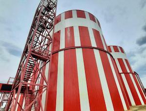 В Подмосковье перерабатывают органические отходы в электроэнергию