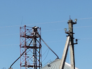 «Чувашэнерго» электрифицировало новый объект крупного животноводческого комплекса