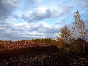 «Т Плюс» построит торфоперерабатывающий завод в Кировской област